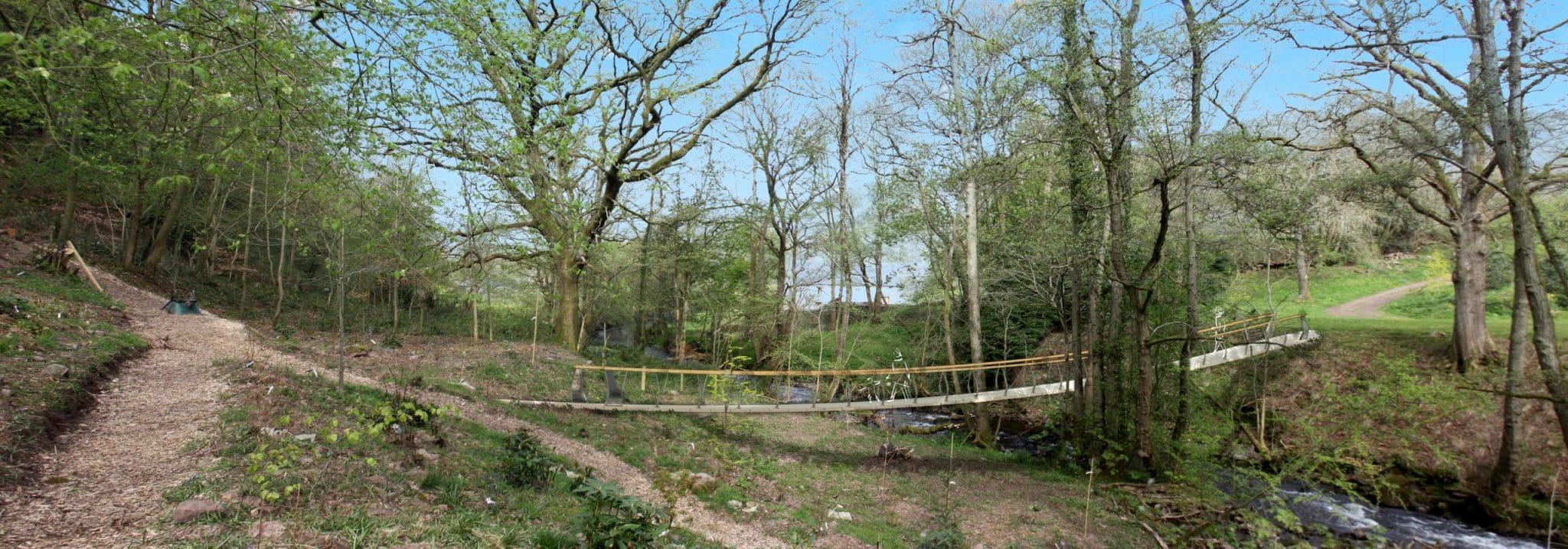 Elevation of stress ribbon footbridge over stream